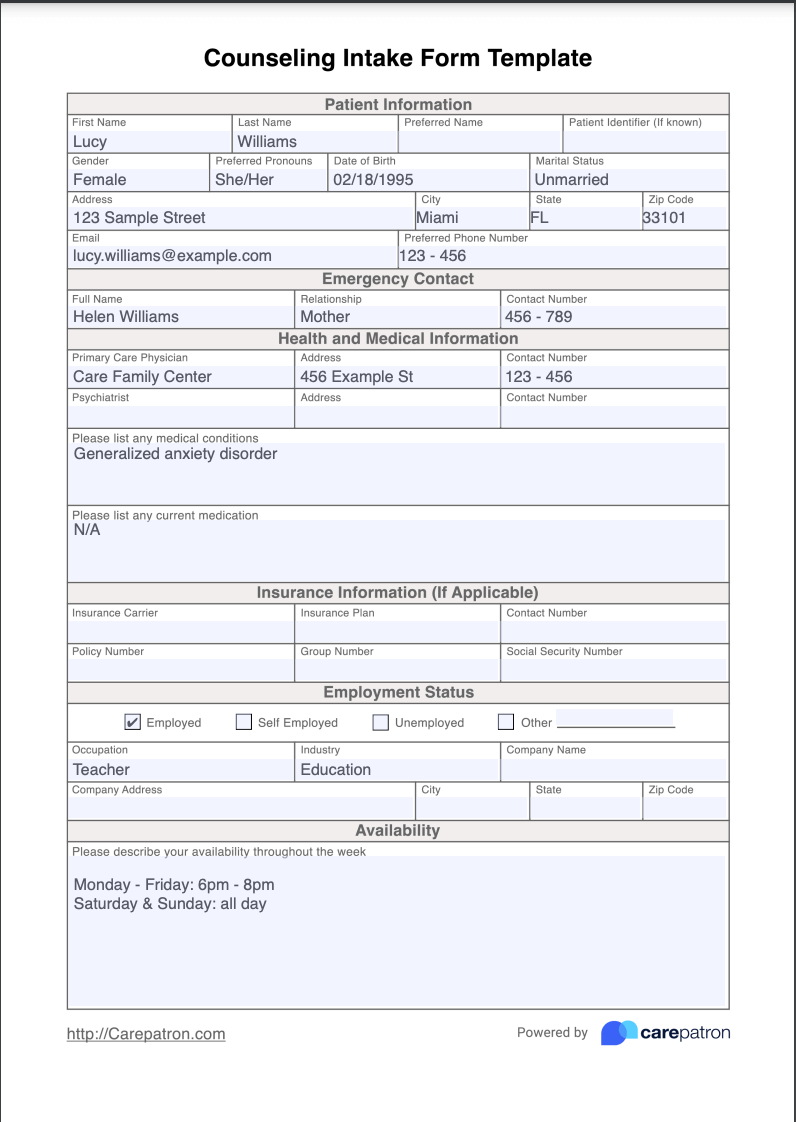 Counseling Intake Form Template Example Free PDF Download